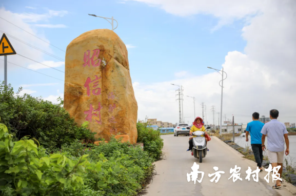 0  南方農(nóng)村報 譚家富 拍攝