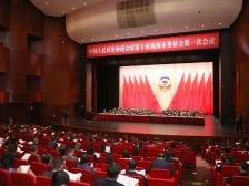 56个专题调研，珠海市政协亮出五年成绩单