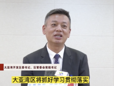 视频|大亚湾开发区委书记、区管委会党组书记王滨：打造宜居宜业国内一流开发区