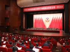 委员说|陈真：优化慢行交通出行条件，打造绿色交通样板城市