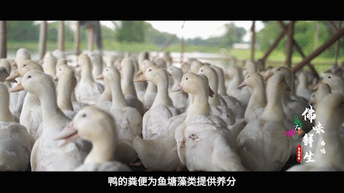 南方+ 陈禧彤 制图