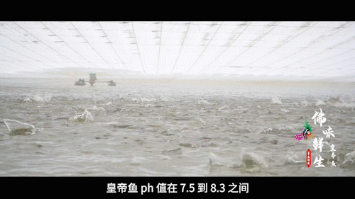 南方+ 陈禧彤 制图