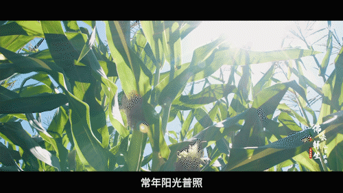 南方+ 陈禧彤 制图