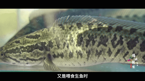 南方+ 陈禧彤 制图