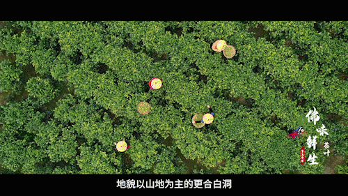 南方+ 陈禧彤 制图