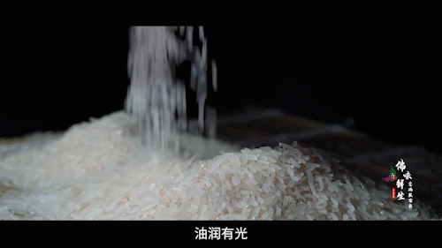 南方+ 陈禧彤 制图