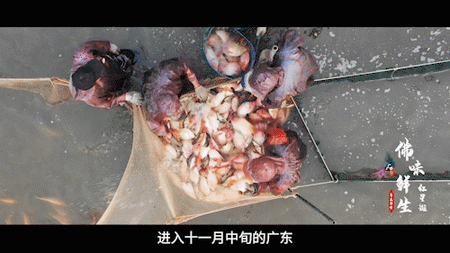 南方+ 陈禧彤 制图