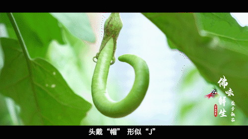 南方+ 陈禧彤 制图