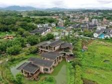 惠州以城带乡、以工补农，激发农业农村活力