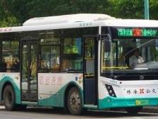 代表说 | 熊颖：优先发展公共交通，让公交车快跑起来