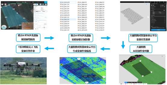 多光谱无人机变量任务的工作流程。