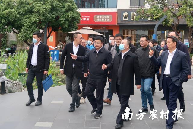 农业农村部调研组来粤调研文化服务产业园建设等工作