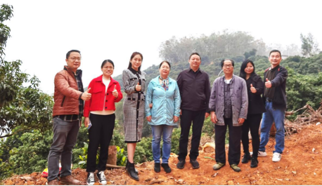 荔枝首席科学家陈厚彬到高州市东岸镇指导荔枝生产