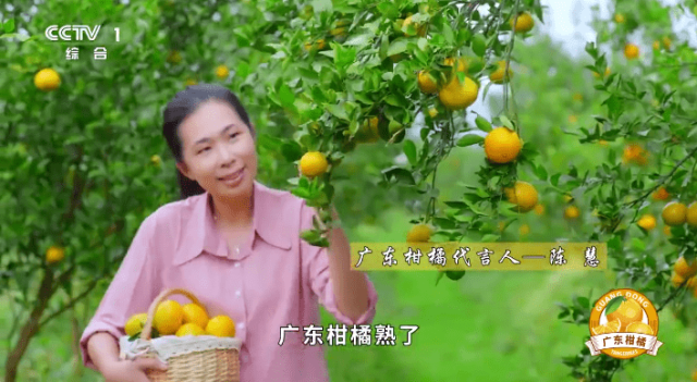 陈慧出镜的广东柑橘宣传片亮相中央电视台CCTV-1、CCTV-17、CCTV-13
