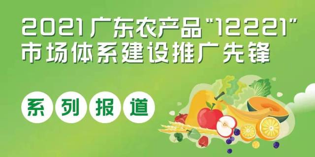 贡柑妹妹陈慧：新身份新理念新起点