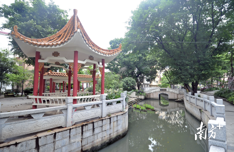 莲塘公园经过改造提升后,河涌两岸景观改善明显.