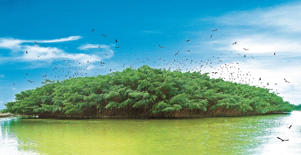 在全面建设美丽乡村过程中,江门将活化利用好古树名木等宝贵资源。图为新会小鸟天堂。黄永照摄 在全面建设美丽乡村过程中,江门将活化利用好古树名木等宝贵资源。图为新会小鸟天堂。黄永照摄