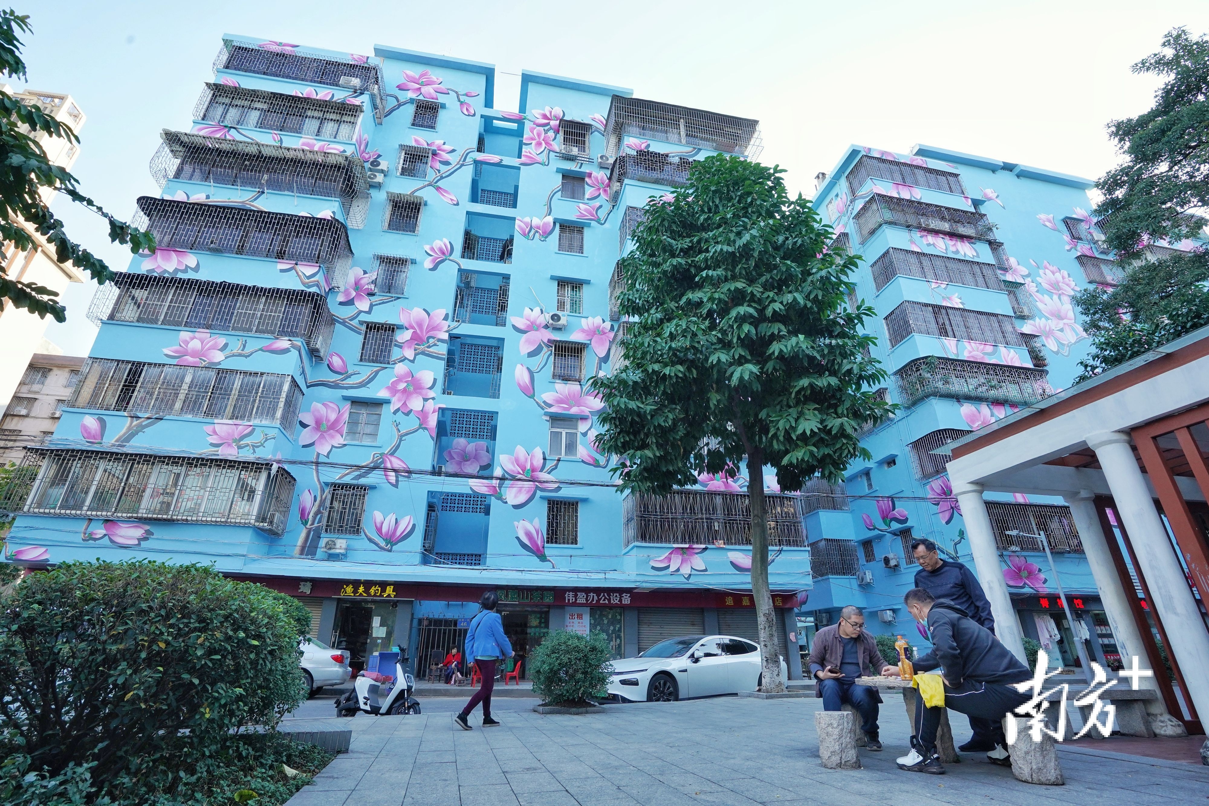 在祖庙街道花园社区，老住宅楼外墙画上木棉花，成为网红打卡点。