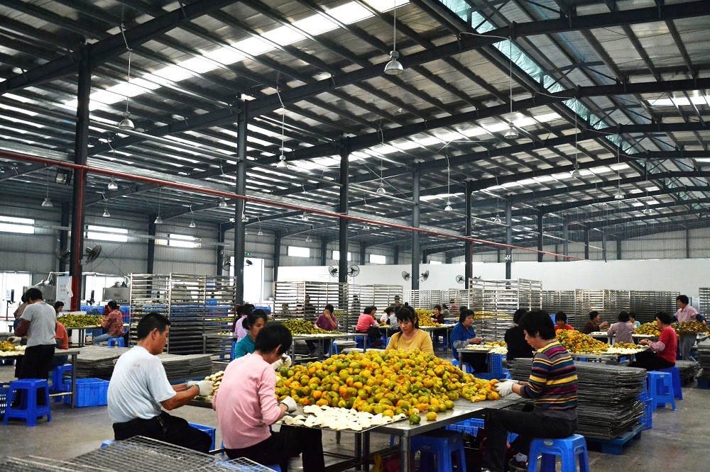 江门谋划建设RCEP陈皮和鳗鱼采购交易中心。图为新会陈皮标准化加工车间。江门市农业农村局供图 江门谋划建设RCEP陈皮和鳗鱼采购交易中心。图为新会陈皮标准化加工车间。江门市农业农村局供图
