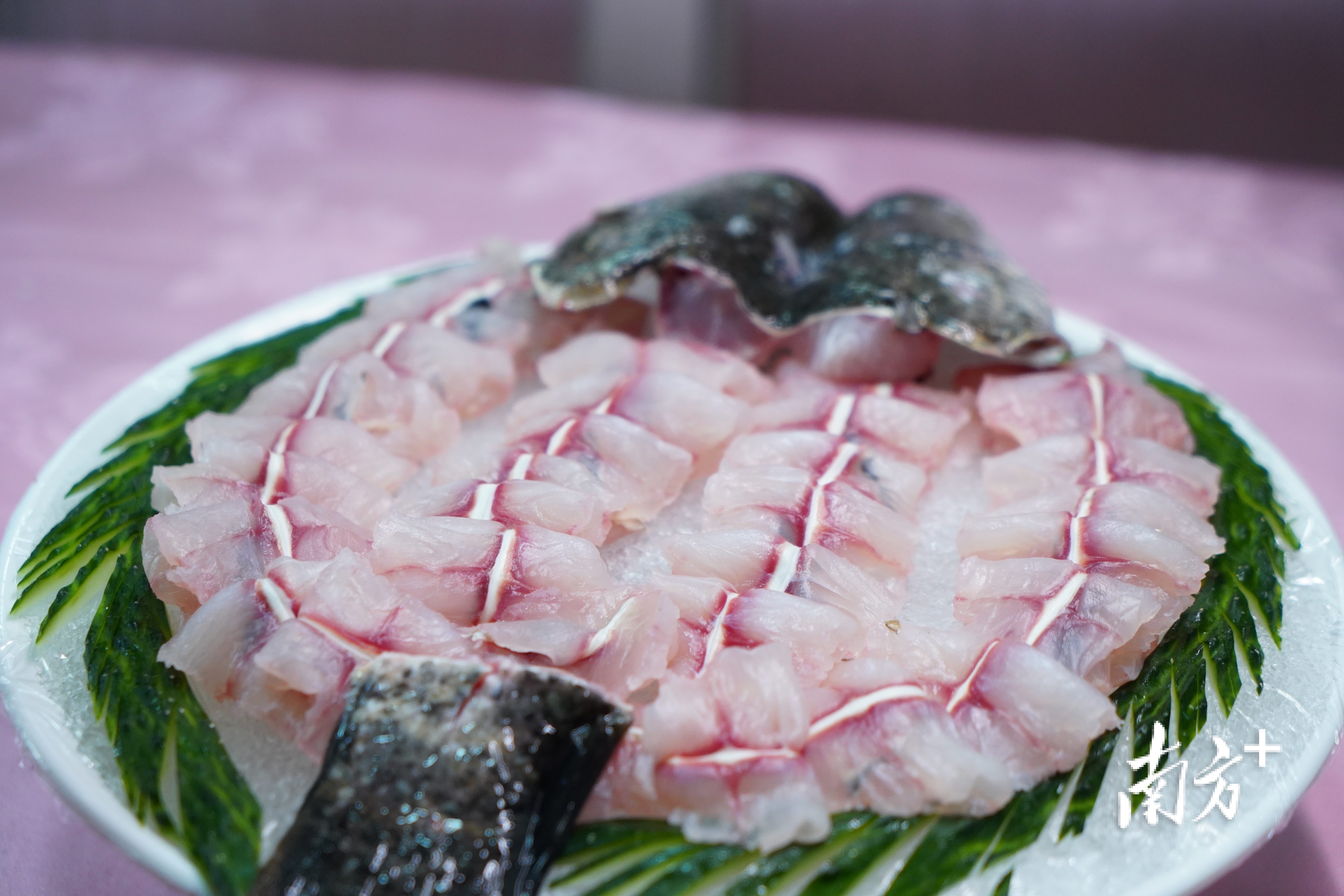 生鱼打边炉。资料图片