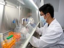 今明两天横琴医院暂停门诊服务，急诊发热门诊正常运行