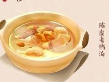谁说年纪大没人喜欢？煲汤还是老鸭好 | “保”藏粤味①