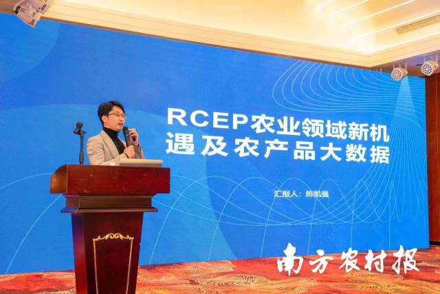 广东一人一亩田大客户部经理陈凯强。