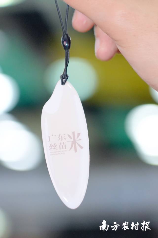 南方农村报 南方农村报 拍摄