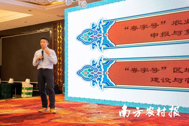 广东省南方名牌农产品推进中心副主任郑有为。