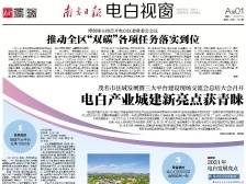 百年沉香树 今朝发新枝|速览《南方日报·电白视窗》62期