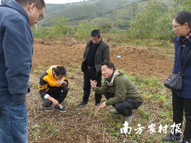 南方农村报 杨吉龙 拍摄