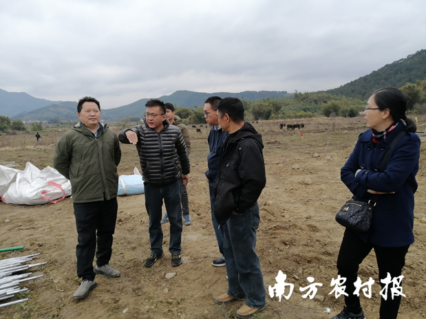 1  南方农村报 杨吉龙 拍摄