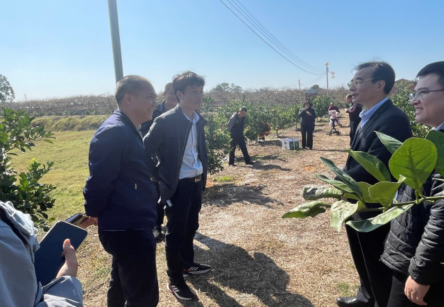 深入田间调研农场生产经营情况