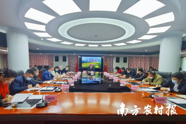 全国农业农村市场信息工作电视电话会议广东分会场