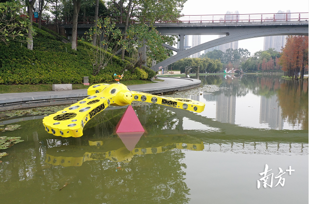 童昆鸟的作品《飞不走的鸟》。