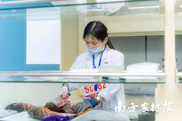 第五届广东省农产品质量安全检测技能竞赛（水产品）实操考核现场 