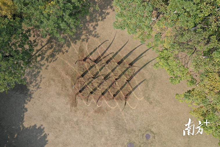 孙佳兴的作品《无尽的未来》，采用镜面，将周边的人群、高楼、绿地、树木映射其中，成为作品的重要组成部分。