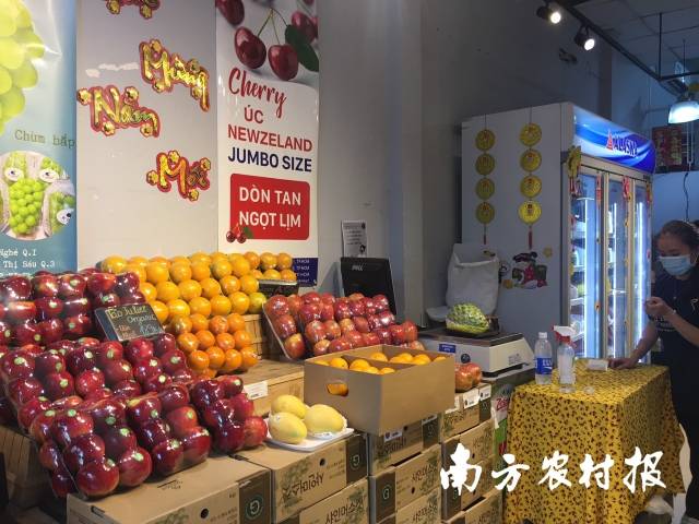 德庆贡柑上架胡志明市线下商超。