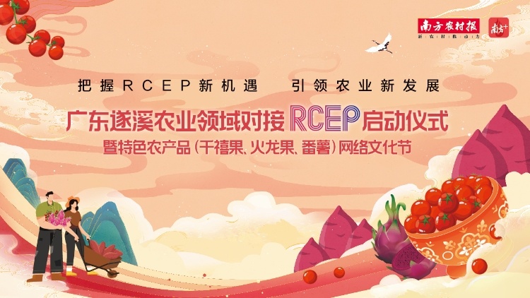 倒计时！广东遂溪农业领域对接RCEP在行动