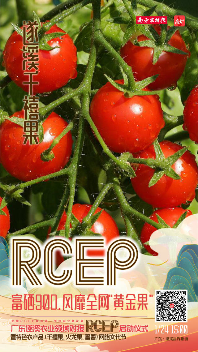 富硒90D，风靡全网“黄金果”