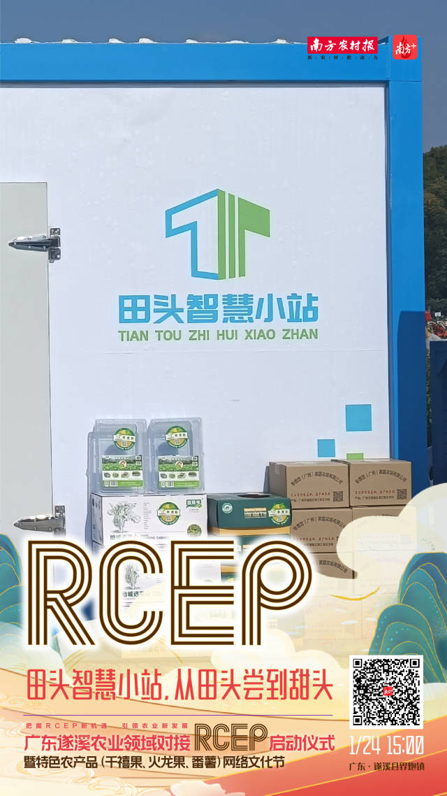 田头智慧小站，从田头尝到甜头
