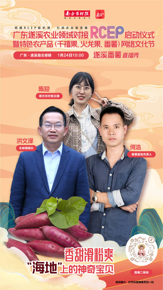 香甜滑粉爽，“海地”上的神奇宝贝