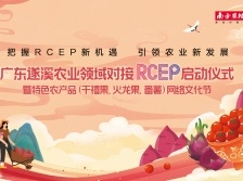 8张海报！直达广东遂溪这场活动