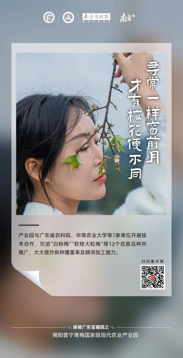 南方农村报 莫淑霞 制图