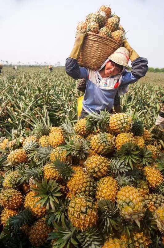 无  受访者供图