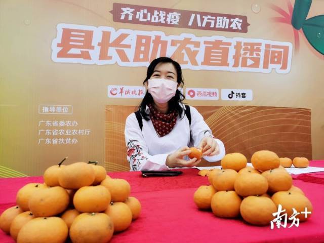 许悦：脚踏热土，笔耕时代，心系“三农”