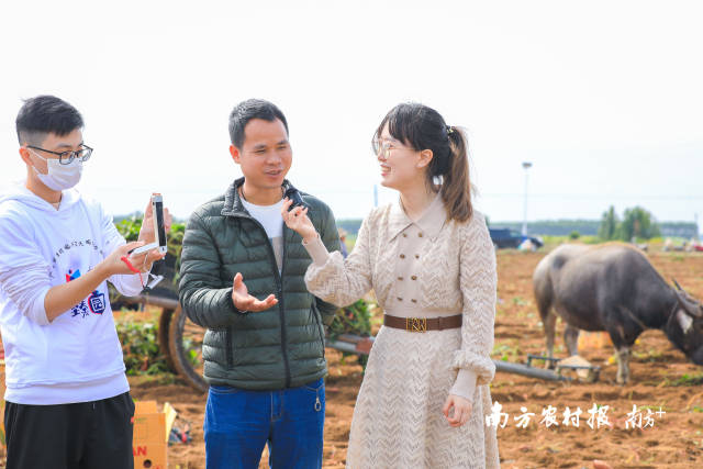 “薯二代”何浩在介绍遂溪番薯  南方农村报 吴秒衡 拍摄