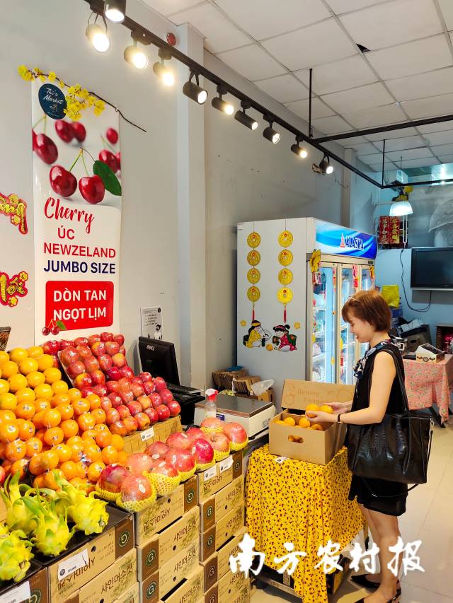 越南消费者选购德庆贡柑。