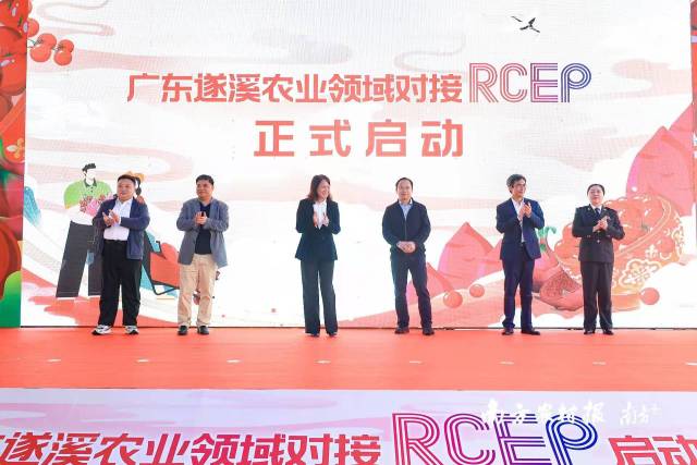 广东遂溪农业领域对接RCEP正式启动。吴秒衡 摄