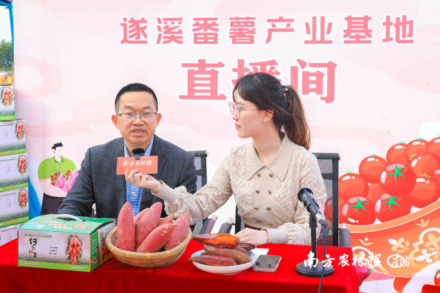 北坡镇镇长洪文泽在直播间中接受采访。  南方农村报 吴秒衡 拍摄